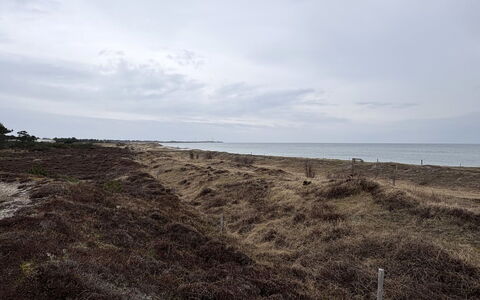 Elisej - 350M from the Sea: Sky, Horizon, Ecoregion, Cloud, Sea, Shrubland, Sand, Beach, Coast, Soil