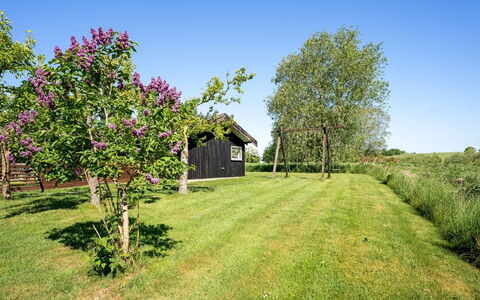 Svenne - 600M from the Sea: Green, Shrub, Garden, Land Lot, Groundcover, Spring, Cottage, Lawn, Meadow, Yard