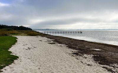 Albertine - 225M from the Sea