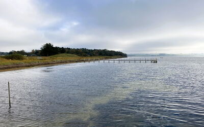 Albertine - 225M from the Sea