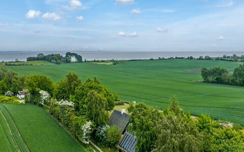 Verene - 725M from the Sea: Green, Grass, Natural Landscape, Grassland, Landscape, Plain, Land Lot, Field, Rural Area, Plantation