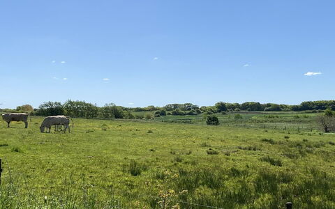 Grimi - 36Km from the Sea: Blue, Shrub, Cottage, Groundcover, Garden, Estate, Shade, Landscaping, Farmhouse, Eco Hotel