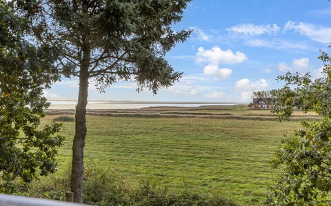 Aave - 5Km from the Sea: Sky, Natural Landscape, Vegetation, Horizon, Grassland, Plain, Land Lot, Morning, Prairie, Sunlight