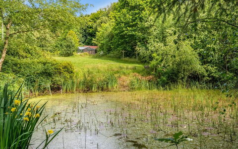 Tabetha - 24Km from the Sea: Green, Water, Natural Environment, Nature, Grass, Natural Landscape, Vegetation, Marsh, Shrub