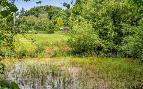 Tabetha - 24Km from the Sea: Green, Grass, Natural Environment, Tree, Nature, Natural Landscape, Vegetation, Marsh, Grassland