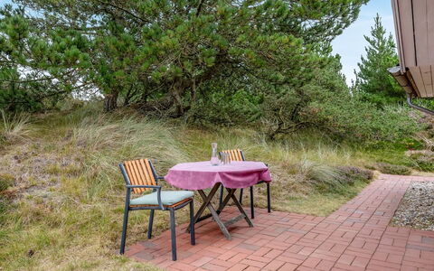 Annerose - 650M from the Sea: Green, Hill, Highland, Agriculture, Plantation, Hill Station, Field, Rural Area, Meadow, Pasture