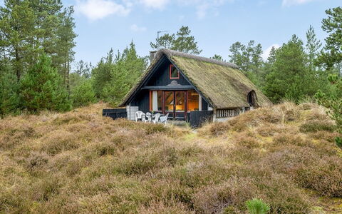 Erhardt - 2Km from the Sea: Green, Hill, Highland, Agriculture, Plantation, Hill Station, Field, Rural Area, Meadow, Pasture