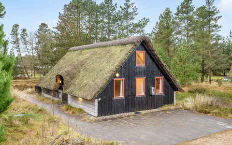 Erhardt - 2Km from the Sea: Green, Hill, Highland, Agriculture, Plantation, Hill Station, Field, Rural Area, Meadow, Pasture