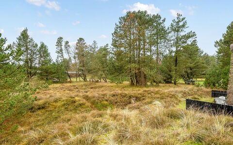 Erhardt - 2Km from the Sea: Green, Hill, Highland, Agriculture, Plantation, Hill Station, Field, Rural Area, Meadow, Pasture