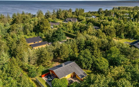 Ditta - 150M to the Fjord: Green, Hill, Highland, Agriculture, Plantation, Hill Station, Field, Rural Area, Meadow, Pasture