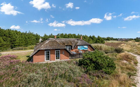 Eweline - 700M from the Sea: Grass, Roof, House, Cottage, Shrub, Landscape, Rural Area, Ecoregion, Land Lot