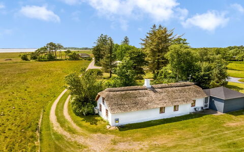 Vilvi - 250M to the Fjord: Green, Hill, Highland, Agriculture, Plantation, Hill Station, Field, Rural Area, Meadow, Pasture