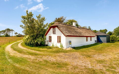 Vilvi - 250M to the Fjord: Green, Hill, Highland, Agriculture, Plantation, Hill Station, Field, Rural Area, Meadow, Pasture