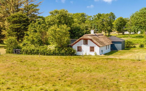 Vilvi - 250M to the Fjord: Green, Hill, Highland, Agriculture, Plantation, Hill Station, Field, Rural Area, Meadow, Pasture