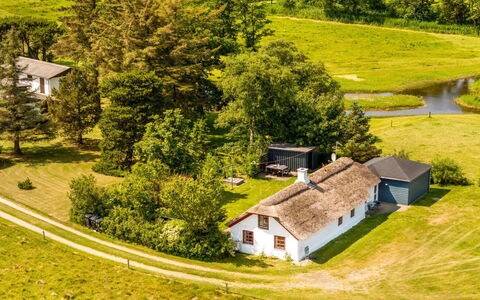 Vilvi - 250M to the Fjord: Green, Hill, Highland, Agriculture, Plantation, Hill Station, Field, Rural Area, Meadow, Pasture