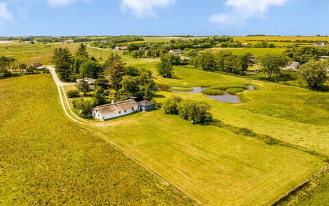 Vilvi - 250M to the Fjord: Green, Hill, Highland, Agriculture, Plantation, Hill Station, Field, Rural Area, Meadow, Pasture