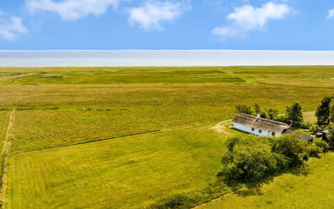 Vilvi - 250M to the Fjord: Green, Hill, Highland, Agriculture, Plantation, Hill Station, Field, Rural Area, Meadow, Pasture