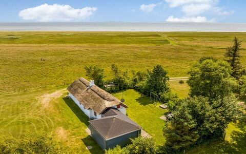 Vilvi - 250M to the Fjord: Green, Hill, Highland, Agriculture, Plantation, Hill Station, Field, Rural Area, Meadow, Pasture