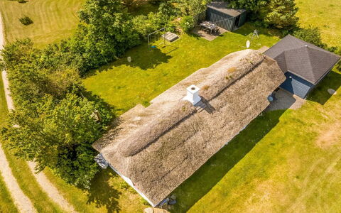 Vilvi - 250M to the Fjord: Green, Hill, Highland, Agriculture, Plantation, Hill Station, Field, Rural Area, Meadow, Pasture