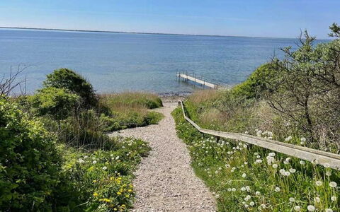 Bosse - 200M to the Fjord: Sea, Coast, Coastal And Oceanic Landforms, Shrub, Ocean, Plant Community, Groundcover, Shore, Walkway, Shrubland
