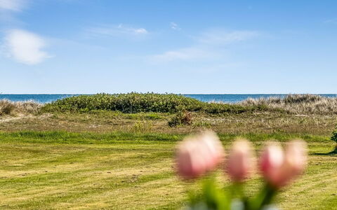 Nomi - 100M from the Sea: Sky, Blue, Grass, Horizon, Ecoregion, Grassland, Summer, Sea, Plain, Coast