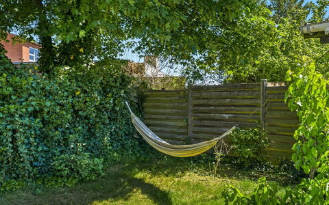 Emma - 700M from the Sea: Green, Leaf, Shrub, Garden, Groundcover, Shade, Sunlight, Spring, Lawn, Backyard