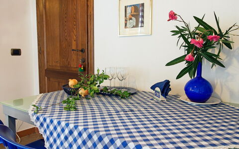 Massarosa 890: Tablecloth, Room, Property, Table, Textile, Linens, Home Accessories, Furniture, Floor, Interior Design