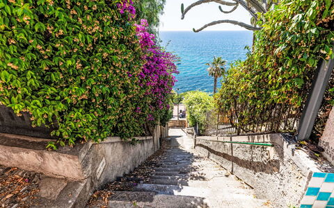 Villa Cristina: Blue, Green, Vegetation, Shrub, Spring, Sea, Ocean, Walkway, Tropics