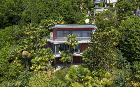 Max: Tree, Vegetation, Shrub, Balcony, Estate, Hacienda, Jungle, Eco Hotel, Villa