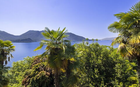 Max: Blue, Green, Nature, Leaf, Mountainous Landforms, Vegetation, Landscape, Coastal And Oceanic Landforms, Mountain Range, Tropics