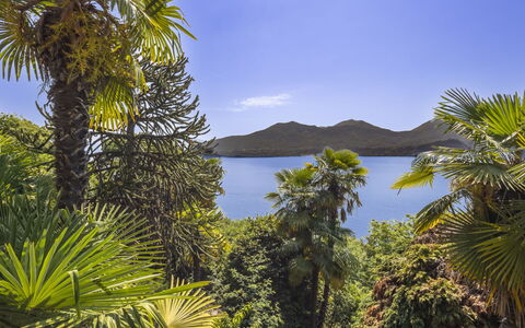 Max: Blue, Water, Green, Nature, Leaf, Vegetation, Coastal And Oceanic Landforms, Lake, Tropics, Mountain Range