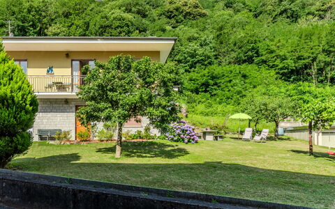 Family Home: Shrub, Garden, Lawn, Landscaping, Yard, Hacienda, Farmhouse, Eco Hotel, Backyard, Villa