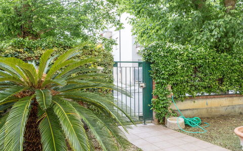 Corte Marina Apartment: Green, Leaf, Vegetation, Shrub, Woody Plant, Garden, Shade, Landscaping, Evergreen
