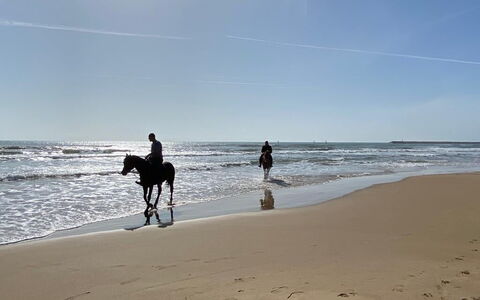 Appartamento Tramonto sul Mare: Beach, Horse, Sea, Coast, Recreation, Ocean, Shore, Coastal And Oceanic Landforms, Sand
