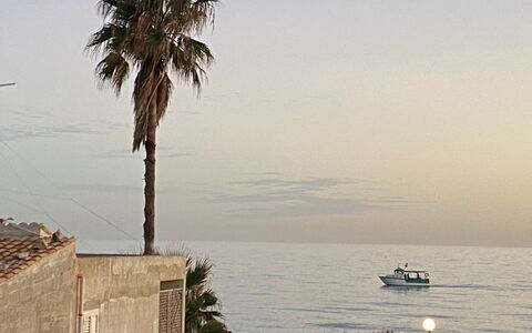 Appartamento Tramonto sul Mare: Sky, Sea, Coast, Beach, Coastal And Oceanic Landforms, Ocean, Tropics, Trunk, Woody Plant, Shore