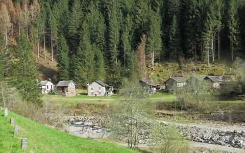 Palazzo Landfogti Studio: Tree, Grass, House, Cottage, Shrub, Rural Area, Roof, Land Lot, Home