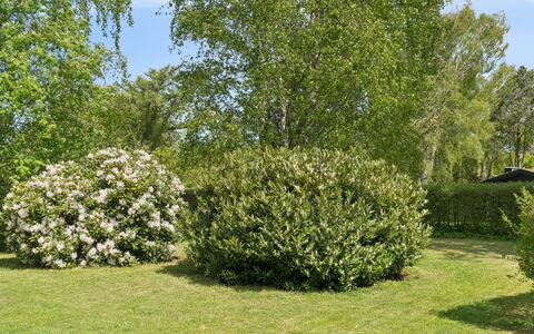 Alika - 700M from the Sea: Leaf, Shrub, Plant Community, Groundcover, Garden, Woody Plant, Spring, Hedge, Lawn