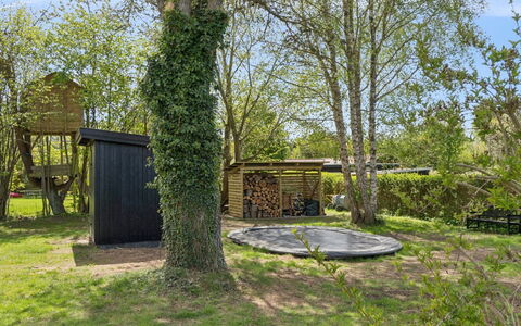Alika - 700M from the Sea: Branch, Wood, Shrub, Garden, Land Lot, Trunk, Shade, Groundcover, Woody Plant, Backyard