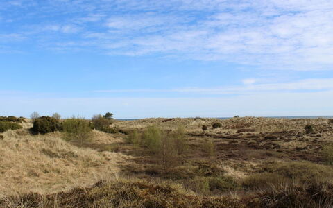 Mavis - 1.6Km from the Sea: Sky, Blue, Natural Environment, Grass, Vegetation, Ecoregion, Grassland, Horizon, Shrubland, Plant Community