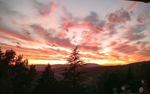 House in the Woods, Pool and Relax in Umbria: Sky, Afterglow, Nature, Cloud, Sunset, Branch, Dusk, Horizon, Orange, Sunrise
