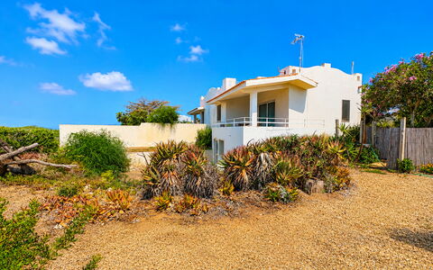 Punta Braccetto Fronte Mare: Sky, Blue, Green, Vegetation, Shrub, Summer, Plant Community, Shrubland, Landscaping