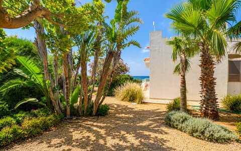 Punta Braccetto Fronte Mare: Green, Vegetation, Shrub, Landscape, Garden, Landscaping, Walkway, Shade
