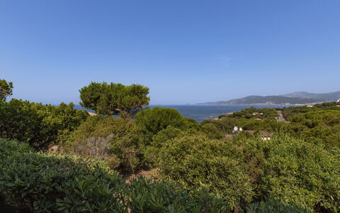 U Sognu: Sky, Blue, Leaf, Green, Vegetation, Horizon, Shrub, Plant Community, Ecoregion, Shrubland