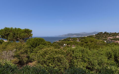 U Sognu: Sky, Blue, Green, Leaf, Vegetation, Horizon, Natural Landscape, Shrub, Plant Community, Ecoregion