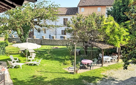Cadivino: Outdoor Furniture, Garden, Backyard, Lawn, Yard, Estate, Hacienda, Shade, Landscaping, Courtyard