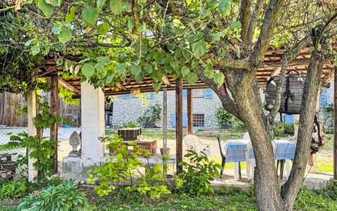 Cadivino: Leaf, Shade, Garden, Spring, Woody Plant, Sunlight, Backyard, Pergola, Yard, Outdoor Structure
