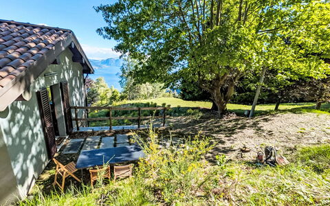 The Greenhouse: Branch, Landscape, Rural Area, Cottage, Garden, Meadow, Farmhouse, Lawn, Shade