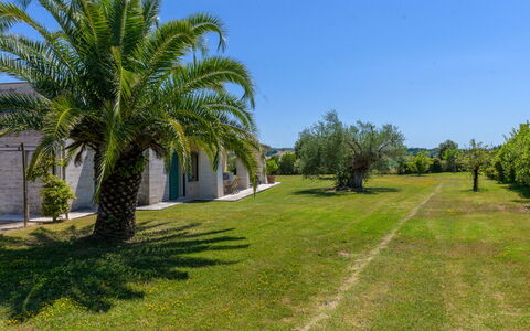 La Sorgente: Shrub, Garden, Woody Plant, Lawn, Landscaping, Estate, Driveway, Hacienda, Shade