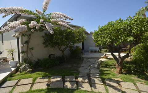 Villa Benvenuti al Sud: Garden, Shade, Backyard, Landscaping, Yard, Flagstone, Walkway, Courtyard, Outdoor Structure