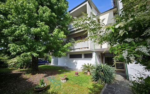 Alle Gardenie: Shrub, Residential Area, Home, Garden, Estate, Yard, Shade, Landscaping, Driveway, Backyard